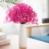 Gypsophila bó hoa khô trang trí phòng khách bình hoa cắm hoa trang trí nhà để bàn trang trí tự nhiên hoa bất tử bó hoa bất tử - Vase / Bồn hoa & Kệ