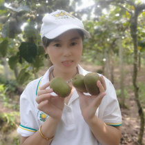 Jiangxi specialty Fengxin red heart kiwi fruit fresh fruit kiwi fruit large fruit seasonal pregnant women whole box 5 pounds