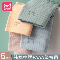 Cat person Underpants female pure cotton No marks Girl Breathable Mid-Waist Full Cotton Girl Day Lady Triangle Pants