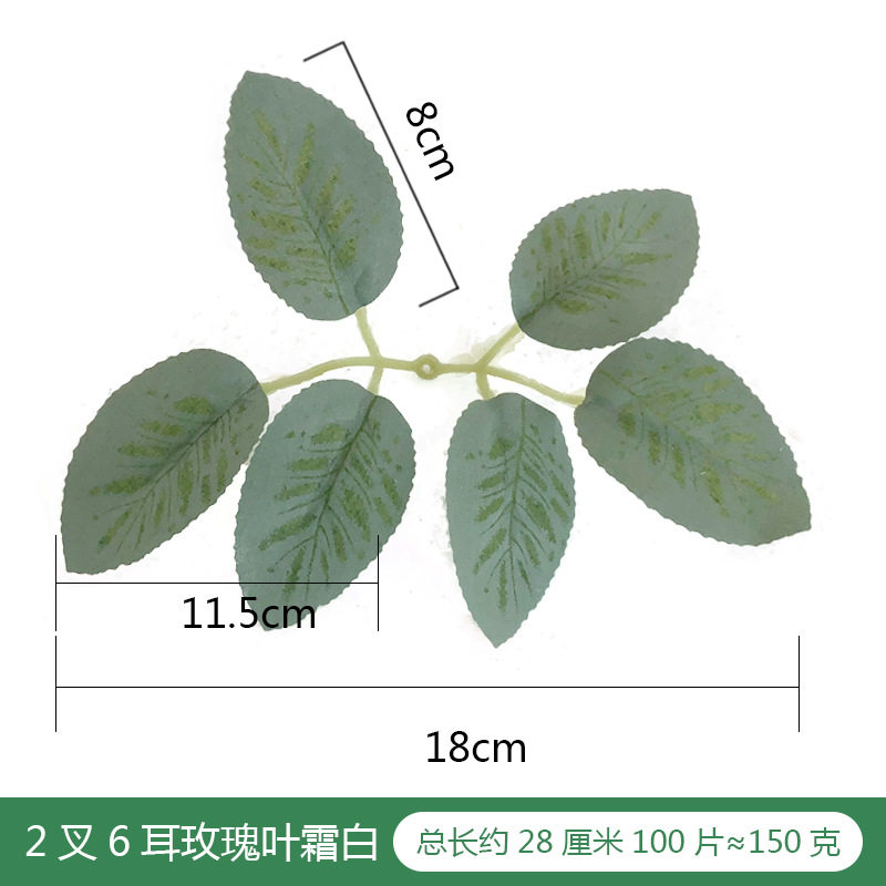 листья белой розы инея