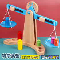 Tianping Libra Childrens Toys Early Education Puzzle Special Injection Force Kindergarten Elementary School Students Logical Thinking Training Teaching Aids
