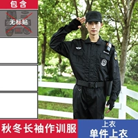 Весенняя и осенняя тренировка (одиночная вершина) не включает в себя стандартные наклейки