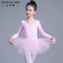 childrens performance costume girls ballet dance dress spring long sleeve one-piece tutu dress little girls dance kung fu dress
