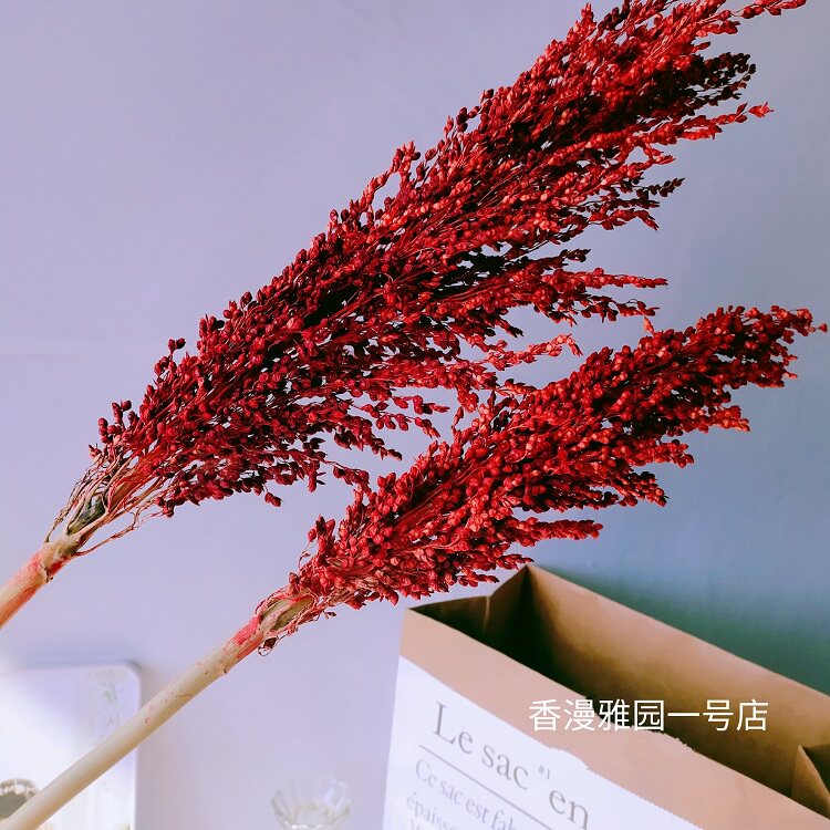 Sorghum Spike Dry Flower Art Shooting Props Home Decoration Living Room Café Shop Windows Display Bouquet Natural Flowers