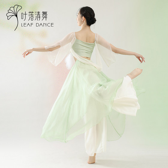 예 Luoqing 댄스 클래식 댄스 깃털 우아한 거즈 댄스 공연 의상 중국 댄스 대비 색 깃털 스커트 공연 의상
