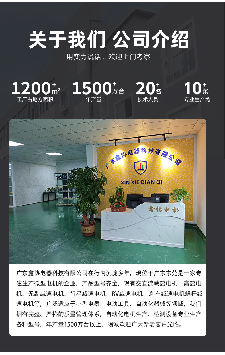 Микро мотор Jingxinxie XX-3420 обычный вал 12В