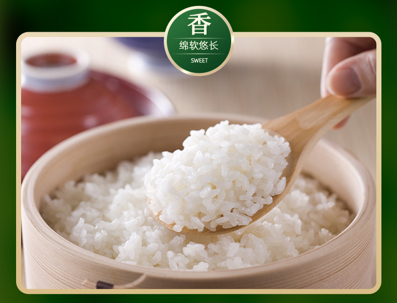 安享好物 安享S级粳米-五米常香有机五常大米 国标 