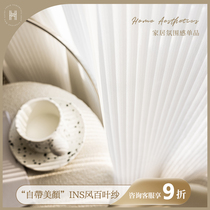 Dream curtain vertical Louver Curtain transparent transparent 2021 new living room balcony Net red white curtain window sand