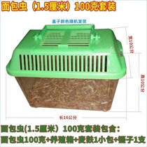The Worms live feed the birds feed the chickens Little birds eat the yellow Pink Worm Barley Pest Pet Feed Painting Brow 8 Gothic Fresh Bag Live