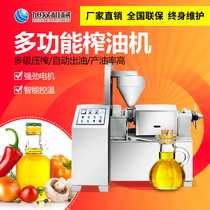 Xuzhong Oil Press Commercial Intelligent Automatic Stainless Steel Medium Tea Seed Oil New Oil Precision