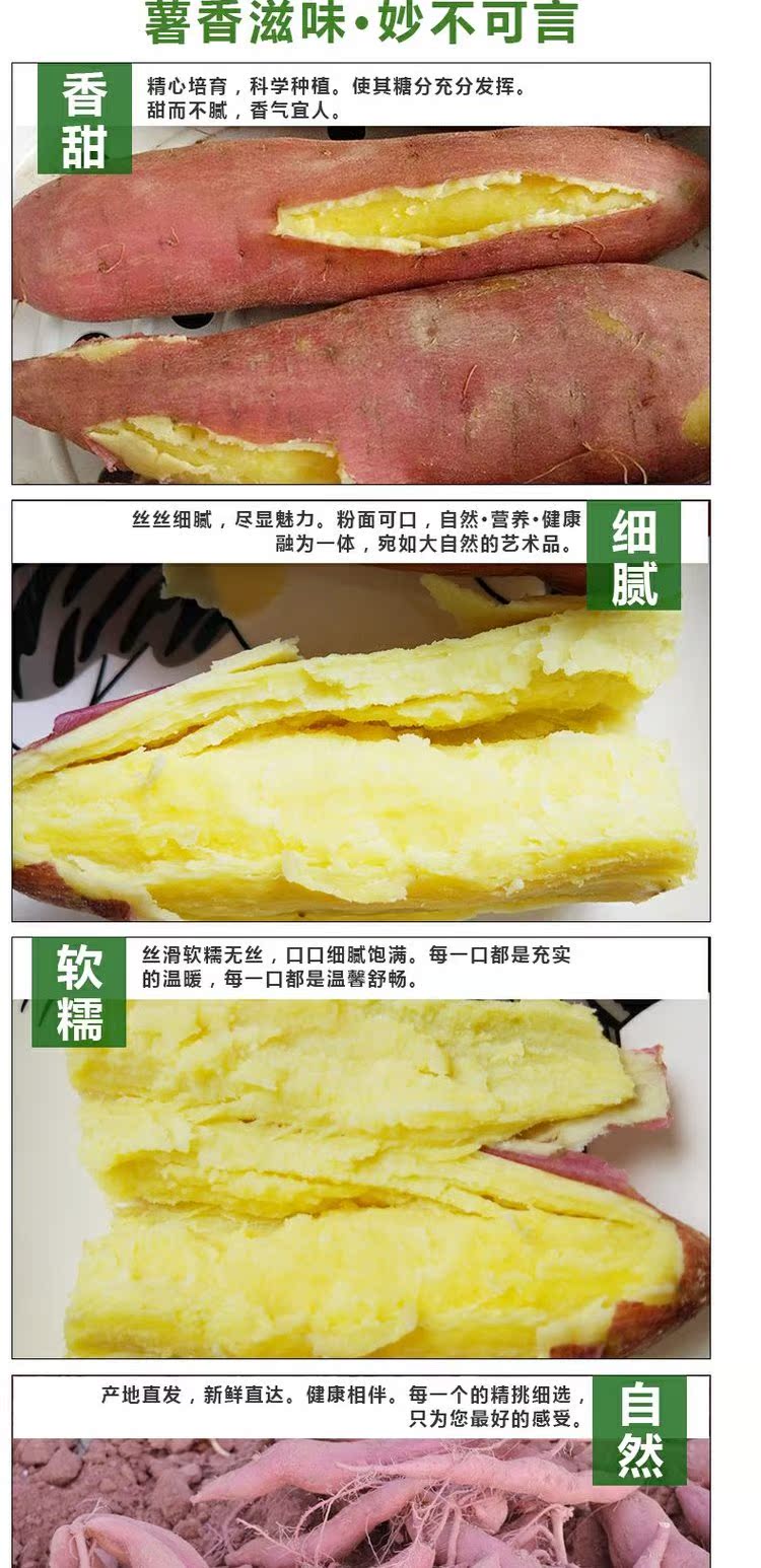 陕西板栗红薯新鲜包邮番薯小香薯