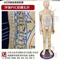 Massage Acupuncture 60 cm Acupoint Model Trainer Occasionally Mimic the lettering dummy with the use of a small leather figure