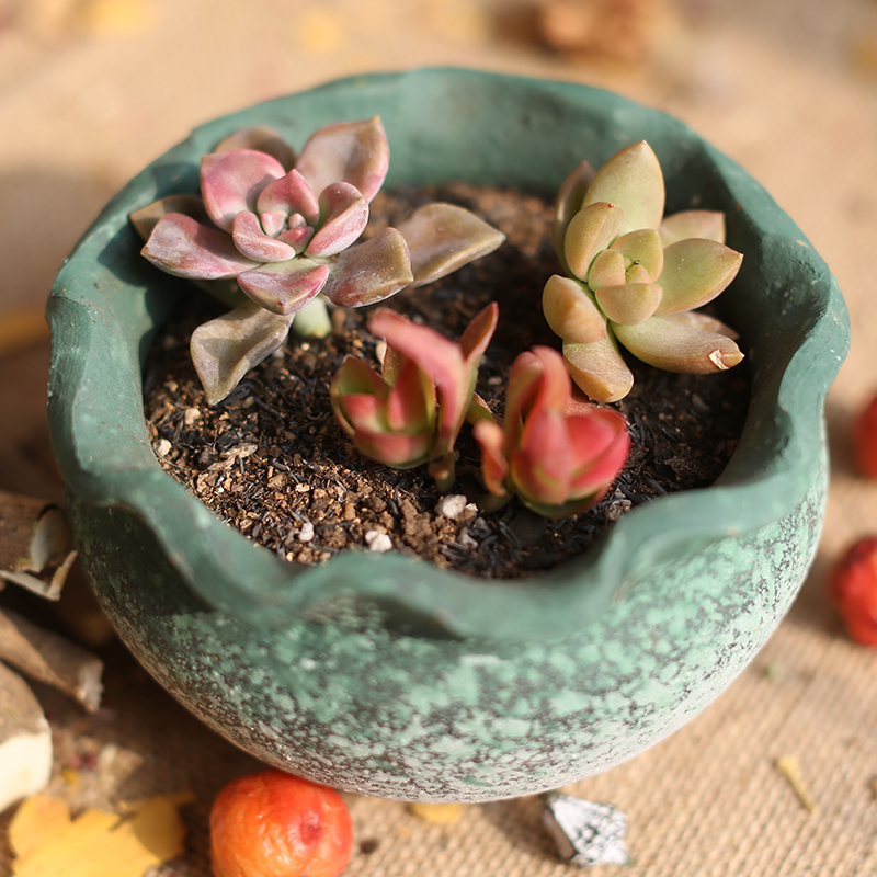 Restore ancient ways more meat plant POTS coarse pottery old running the sitting room air pot clay flower POTS, large diameter clearance soil POTS