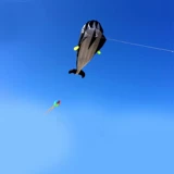 Мультяшный воздушный змей, 2021 года