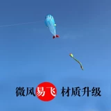 Мультяшный воздушный змей, 2021 года