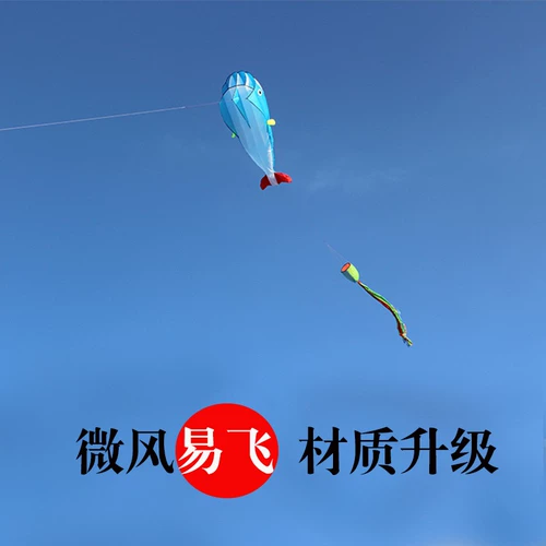 Мультяшный воздушный змей, 2021 года