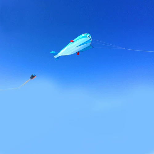 Мультяшный воздушный змей, 2021 года