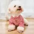 Teddy quần áo mô hình mùa thu hơn gấu gấu xô chó con chó nhỏ sữa mèo mèo quần áo thú cưng quần áo mùa thu và quần áo mùa đông - Quần áo & phụ kiện thú cưng
