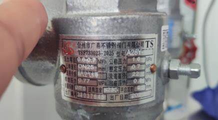 适用于药厂和灭菌器用的台州广易不锈钢阀门A28Y-16C安全阀0.7Mpa