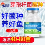 Композитный Bacillus Bacillus Первичная симвонная аквакультура бактерий бактерии рыб пруд, приготовленная вода соль awater соль