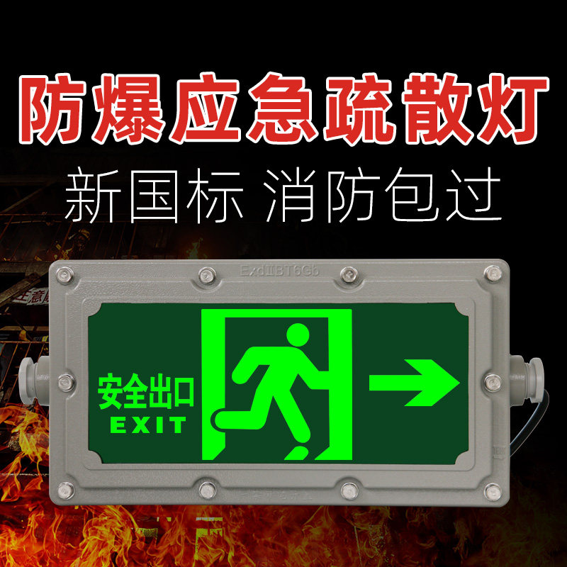 New national standard explosion-proof safety export lamp three anti - flag lights evacuation indicator fire emergency lighting IP65
