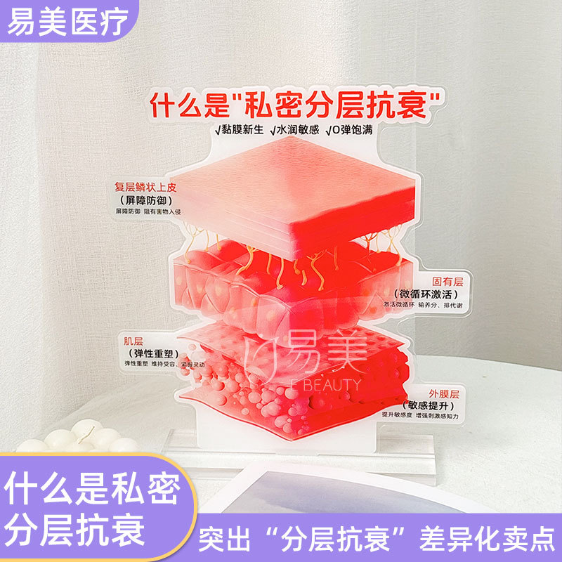 Private Layered Anti-Aging Acrylic Display Piece for Beauty Salon Interior Decoration, High-End Mucosal Five-Layer Structure Educational Display Stand