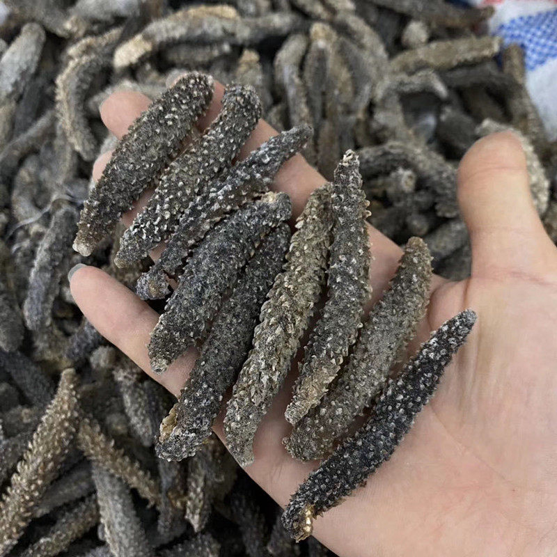 野生印尼黑刺参6-8年海参干货正品500g!淡干海参海渗秃参非辽参,你真的了解吗?-干品-淘宝百科网