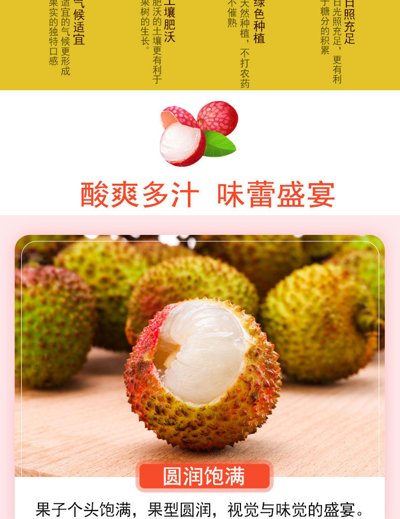 简果社 海南妃子笑荔枝 净重5斤 图7
