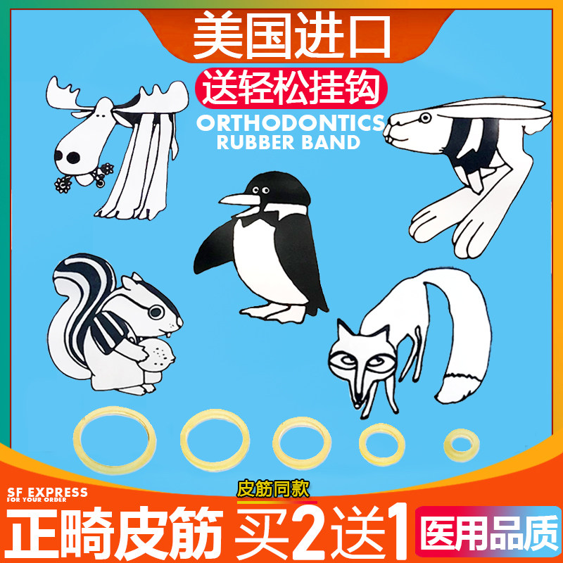 Orthodontic rubber band rubber ring teeth correction traction rubber band rubber chain hidden is suitable for beauty braces apron fox rabbit