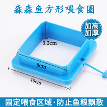 Feeder Feeding circle Anti-drift tropical guppy feeding circle Aquarium fish tank Fish food Fish food Feed feeder