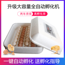 Boshi hatching machine automatic intelligent household small incubator Chicken duck goose hatching box Quail ostrich egg hatcher