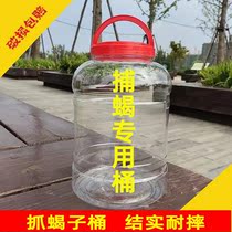 Catch scorpion bucket catch scorpion catch scorpion bucket loaded with fish Loach bucket plastic pack scorpion bucket outdoor catch Scorpion
