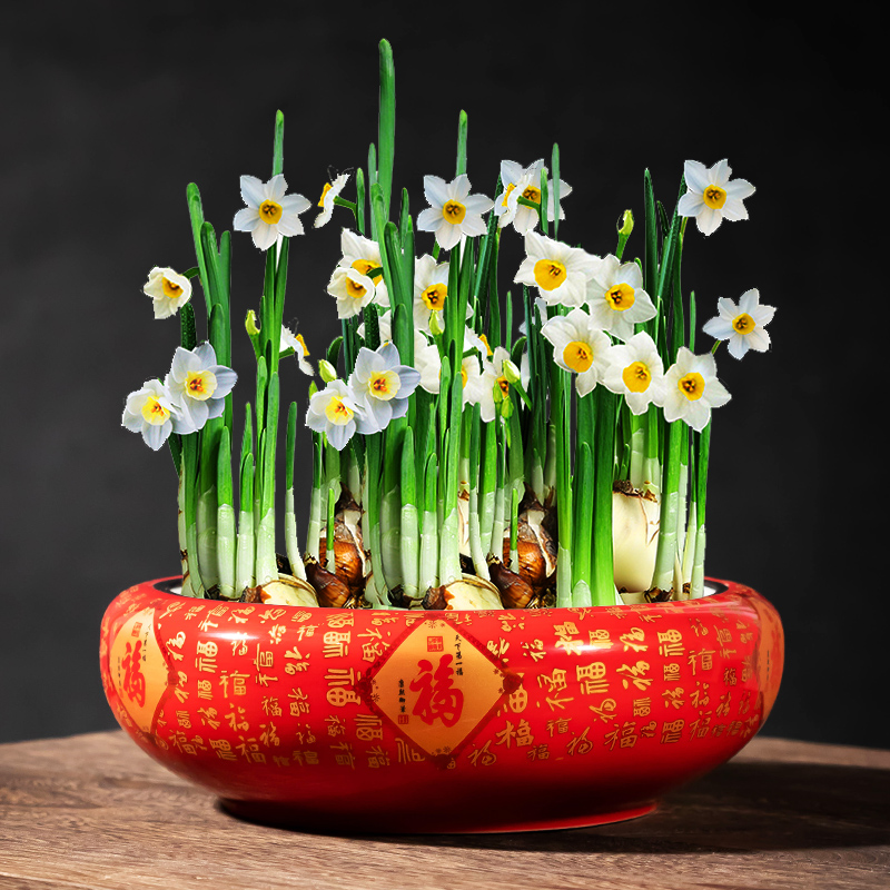 セール(SALE)開催中！ファッション通販 輪花盆 香盆 煎茶盆 花草彫 存星 中国 N （水仙花花盆水养 8081A 工芸品