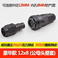 1 роскошная модель (12x8)