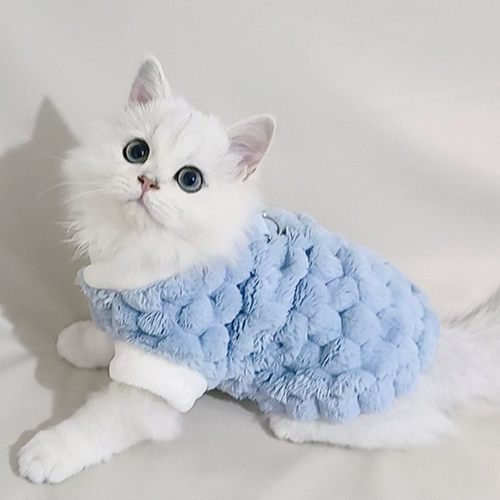 Кошачья одежда зимой, теплое и антиволоненое тряпичное голубо