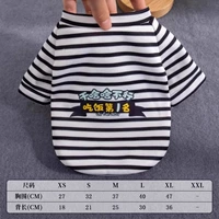 Прилив бренд