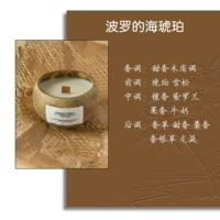 Балтийский янтарь