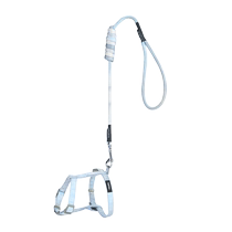 Cat traction rope to prevent break-away special cat rope cat harness chain supplies anti-lost Internet celebrity cat walking rope