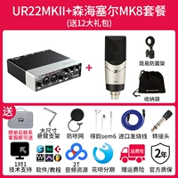 Ur22mkii+пакет Monhael sel8