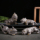 Фиолетовый песок Pixiu tea pet decoration boutique может вырастить креативную золотую жабу ручной работы, играющую с чайными насекомыми, чайный стол, аксессуары для чайного сервиза mini 2