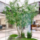 Simulated Olive Tree, Large Floor-Standing Artificial Green Plant, Indoor and Outdoor Landscape Decoration, Window Display Landscaping, Fake Tree, Nordic Plant