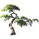 Large-Scale Artificial Beauty Pine, Arhat Pine Bonsai, Dry Landscape Garden, Zen-Style Pine Tree, Artificial Welcoming Pine Tree, Fake Tree