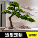 Artificial Welcoming Pine Tree, Large Indoor and Outdoor Zen-Style Decorative Green Plant, New Chinese-Style Entrance Landscaping Pine Tree