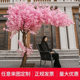 Simulated Cherry Blossom Trees, Peach Blossom Trees, Large Artificial Trees for Indoor and Outdoor Decoration, Wishing Trees, Shopping Mall, Hotel, Wedding Decorations, Landscaping