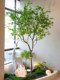 Artificial Bellflower Tree Landscape Window Display Decoration, Large Green Plant Arrangement, Indoor and Outdoor Nordic Style Ornament