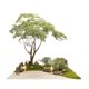 Artificial Maple Tree with Maple Leaves, Large Design Decorative Fake Tree, Window Display Greenery, Indoor Artificial Plant, Floor-Standing