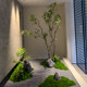 High-Quality Artificial Horsewood Green Plant for Landscaping, Window Display, Indoor Banyan Tree Decoration, Large Artificial Tree, Simple Landscape