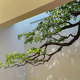 High-Quality Upside-Down Island Spring Flower Hanging Floral Arrangement Green Plant Landscaping Indoor Window Plant Landscape Decoration Artificial Fake Tree