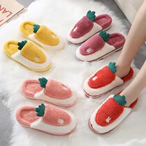 Winter Fluffy Slippers High Heels Warm Fur Shoes for women