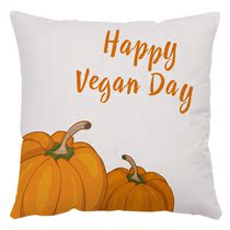 Cushion Cover Pillowcase Cushions Case for Home Decoration